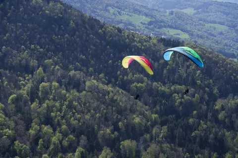 APCO Game MKIII — Gleitschirm von APCO Aviation