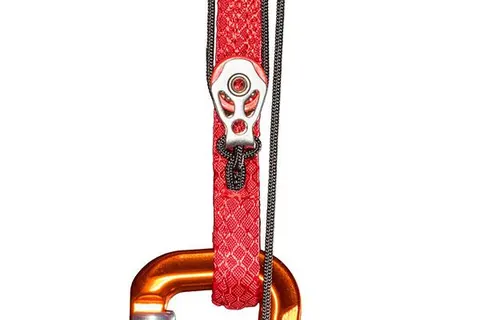 APCO Hybrid Paramotor – Bild 28 von 31