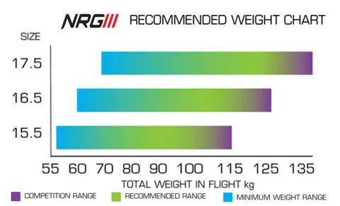 APCO NRG III — Motorschirm von APCO Aviation – Bild 3 von 3